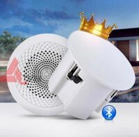 Loa âm trần bluetooth 30W cao cấp. chuyên dùng nghe nhạc cho cafe , căn hộ , nhà hàng tphcm