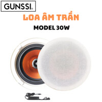 Loa âm trần bluetooth Gunssi-loa model công suất 30W-đem lại trải nghiệm sống động cho quán cafe...