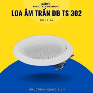 Loa âm trần DB TS 302
