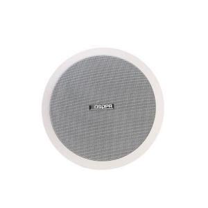 Loa Âm trần hai chiều DSPPA DSP804