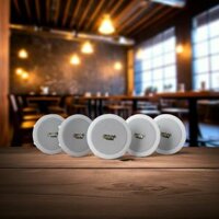 Loa âm trần VAT15_DA Goldsound (Số lượng 01 loa), Bass 10 cm, công suất thực 15w, Thiết kế hình tròn, hoàn toàn màu trắng, sang trọng, độ thẩm mỹ cao