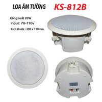 LOA ÂM TƯỜNG-ÂM TRẦN KS-812B - 1 loa