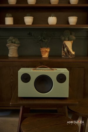 Loa Audio Pro Addon C10 MKII