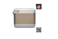 Loa Bang & Olufsen Beolit 20