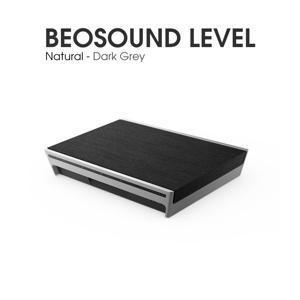 Loa Bang & Olufsen BeoSound Level