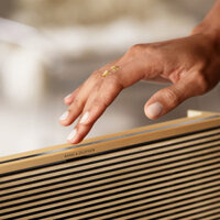 Loa Bang & Olufsen Beosound Level