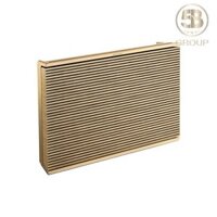 Loa Bang & Olufsen Beosound Level