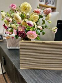 Loa Bang & Olufsen BEOSOUND LEVEL (qua sử dụng 99%)