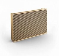 Loa Bang & Olufsen Beosound Level