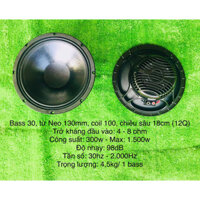 LOA BASS 30 TỪ NEO COIL 100 (12Q)