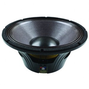 Loa bass P-Audio GST-181200