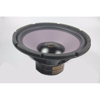 Loa Bass Pioneer 25 Công Suất 500W Từ Kép-Giá 2 Loa