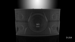 Loa BFAudio D-25A