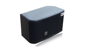 Loa BFaudio Pro Singer 3110