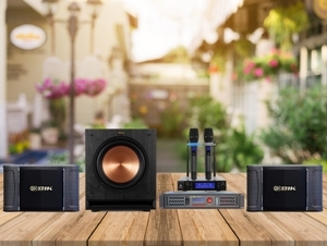 Loa BIK BJ S968 Loa karaoke