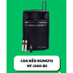 Loa bluetooth Audioengine B2 Speaker