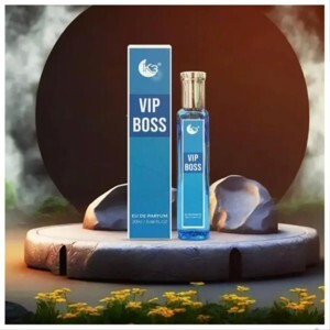 Loa Bluetooth BOSS K3