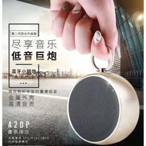 Loa bluetooth BS 02