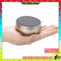 Loa Bluetooth BS01 vỏ nhôm pin khỏe nghe cực chất- Loa mini cầm tay BS01 hỡ trợ thẻ nhớ TF và cổng 3.5