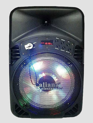 Loa Bluetooth Caliana TX08B