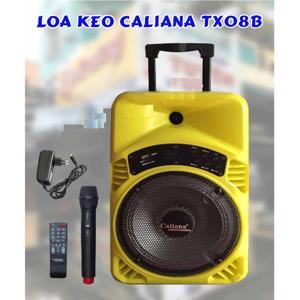 Loa Bluetooth Caliana TX08B