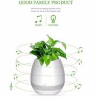Loa bluetooth chậu trồng cây phát nhạc độc đáo