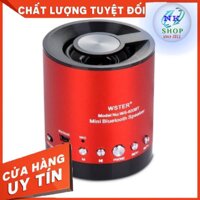 Loa bluetooth đa năng Wster WS-633BT