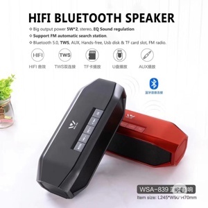 Loa Bluetooth Daniu WSA-839