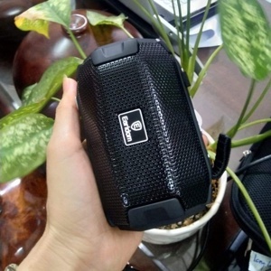 Loa Bluetooth + Đèn Pin Earldom A16