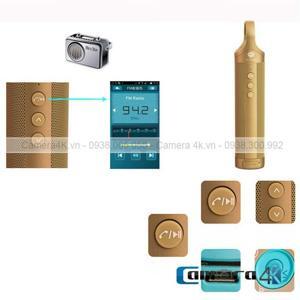 Loa Bluetooth Doss DS-1666