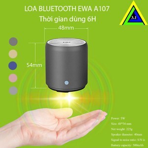 Loa bluetooth Ewa A107