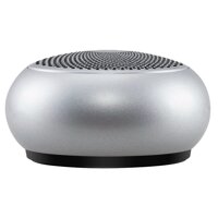 Loa Bluetooth EWA A110