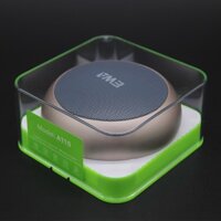 Loa Bluetooth EWA A110