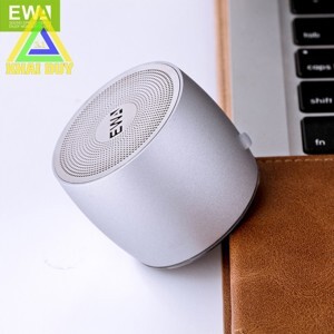 Loa Bluetooth EWA103