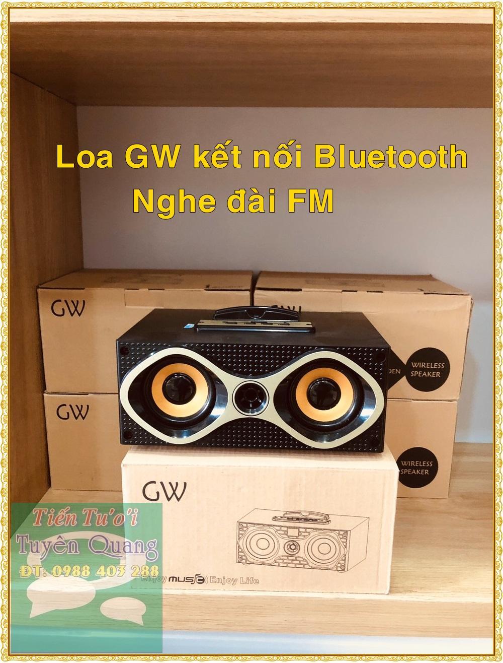 Loa bluetooth GW-11
