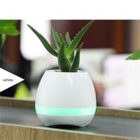 Loa Bluetooth Hay Nhất - Loa Bluetooth Chậu Trồng Cây Phát Nhạc Độc Đáo