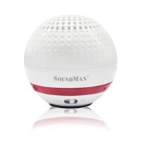 Loa bluetooth hiệu SoundMax R-100