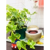 Loa Bluetooth Hình Thiên Nga Huawei/ Honor AM08- HÀNG CHÍNH HÃNG