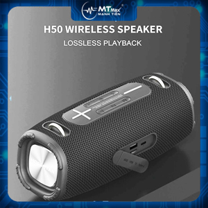 Loa Bluetooth HopeStar H50