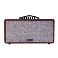 Loa Bluetooth + Karaoke di động Acnos CS390