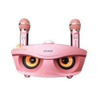 LOA BLUETOOTH KARAOKE MINI SD-306 - MICRO ĐA NĂNG CAO CẤP ❤️