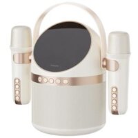 Loa Bluetooth Karaoke Philips TAS2508