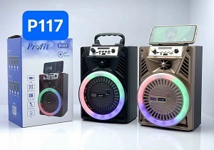 Loa bluetooth karaoke Profit P117