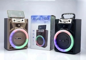 Loa bluetooth karaoke Profit P117
