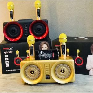 Loa bluetooth karaoke QiSheng QS-307 - kèm 2 micro