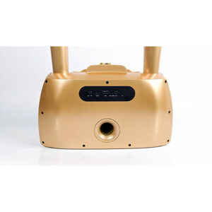 Loa bluetooth karaoke ST2025