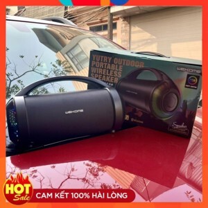 Loa bluetooth Microlab D-22