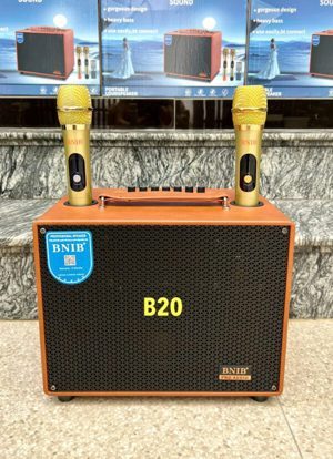 Loa bluetooth mini B8S