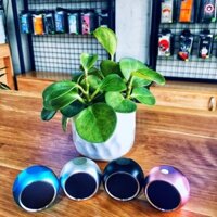Loa Bluetooth mini M10 nhiều màu (ảnh thật ở cuối)
