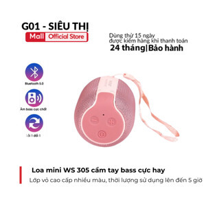 Loa bluetooth mini WS-305